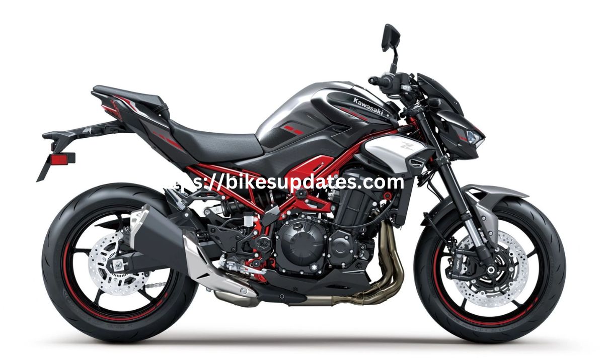 Kawasaki Z900 (2025) (1)