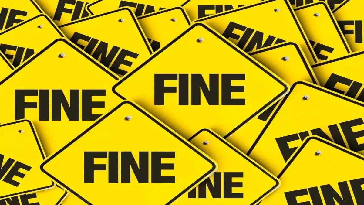 The "Why" | Understanding the Significance of Shareholding Compliance