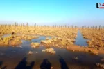 Persian Gulf