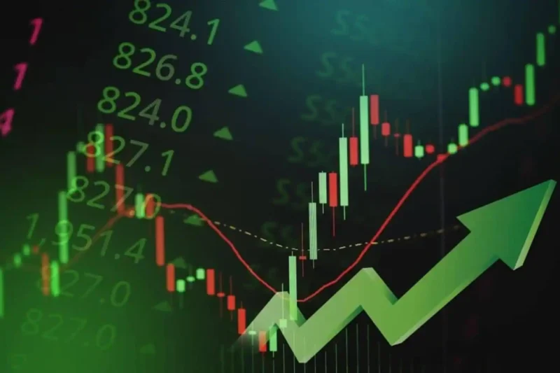 Will Resourceful Automobile Limited Stock Keep Beating Expectations in YEAR? – Cash Flow Analysis & Affordable Growth Potential
