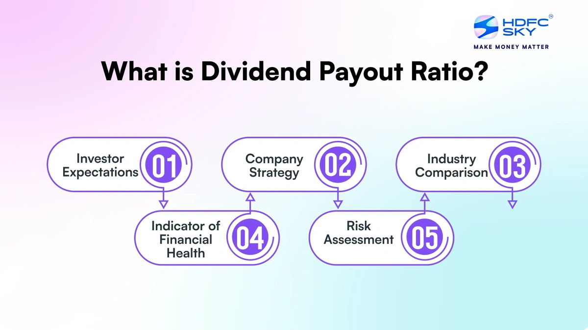 Understanding the Dividend Payout Ratio