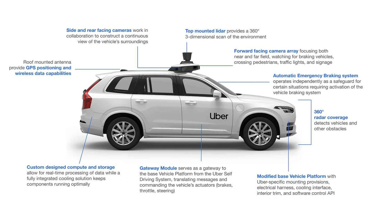 The "Why" Behind the Driverless Revolution