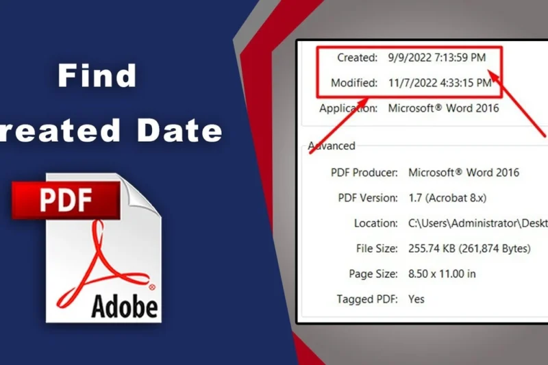 Publication Date | 2025-11-13 03 |55 |12